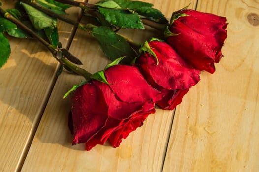 Red roses on wooden Board Valentines Day background, wedding day.