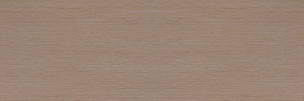 Texture of oak. Texture of natural solid wood. Oak board with a white tint, bleached wood for the production of furniture, floors or doors