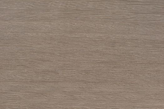 Texture of exotic wood. Close-up of the texture of lati wood, the structure of the breed of the aurican tree lati silver ash color.