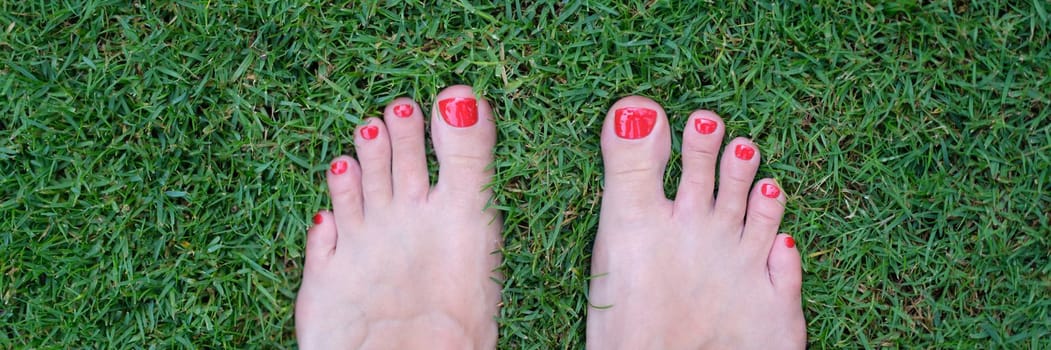 Barefoot female feet with red nails stand on green grass. Barefoot on fresh grass concept