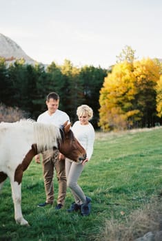 Woman feeding a horse with her hands while standing on a green lawn. High quality photo