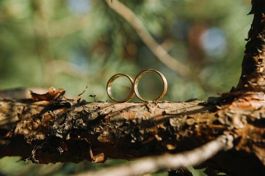 Close-up of two gold wedding rings for a wedding.