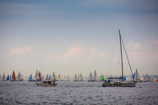 View of the 46 Barcolana regatta in Trieste sea