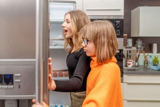 the children are watching the fridge in the kitchen. High quality photo