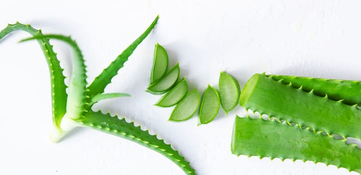 Aloe vera cosmetics and medicine. Selective focus. Nature.