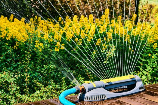 the supply of water to land or crops to help growth, typically by means of channels. Irrigation system, sprinkler watering flowers on a hot day in a city park.
