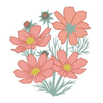 Hand drawn illustration of beige orange cosmos flowers with green leaves. Elegant summer foral composition with blossom blom foliage, for greeting cards invitations poster, nature natural pastel design, realistic petal botany