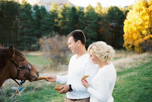 Man and woman feeding a horse with bread on a green lawn. High quality photo