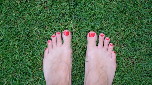 Barefoot female feet with red nails stand on green grass. Barefoot on fresh grass concept