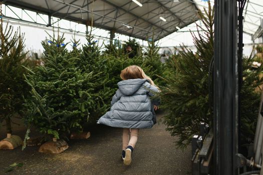 A girl chooses a Christmas tree in the market.