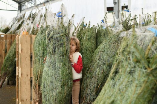 A girl buying a Christmas tree in the market.