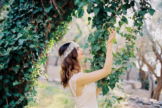 Bride touches with her hands the green leaves of ivy on a tree in the park. High quality photo