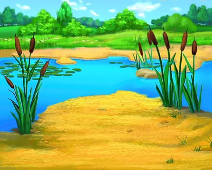 Reeds by the River on a sunny Summer Day. Digital Painting Background, Illustration.