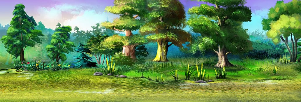 Deciduous forest in summer at day. Digital Painting Background, Illustration.