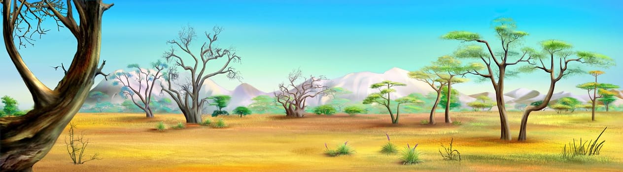 African Savannah landscape with trees on a sunny day. Digital Painting Background, Illustration.