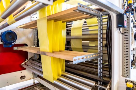 production of plastic bags in the factory. 