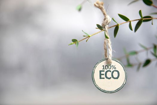 Green leaves and Eco Friendly Paper paper on carton, copy space for text 100 percent with green leafs natural design close up