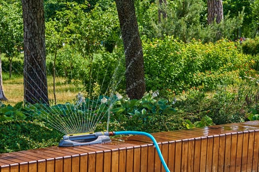 the supply of water to land or crops to help growth, typically by means of channels. Irrigation system, sprinkler watering flowers on a hot day in a city park.