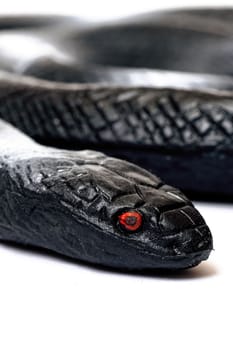 Black snake toy isolated on white background close up
