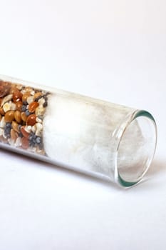 Different seeds in a test tube on a white background close up