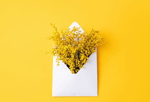 Spring congratulations. Opened white envelope with yellow mimosa flowers on yellow background, mockup design