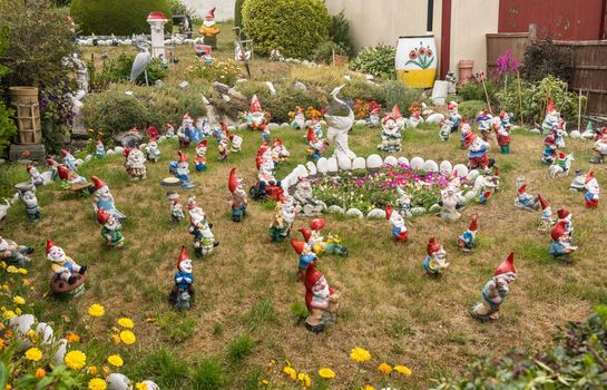 Stanley, Falkland Islands - 31 January 2023: The Gnome Garden in the town of Stanley