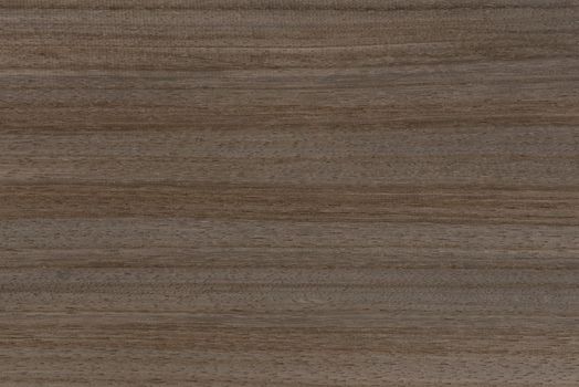 Texture of wood with stripes. Texture of natural African wood with zebra pattern. High resolution photo of a brown black board