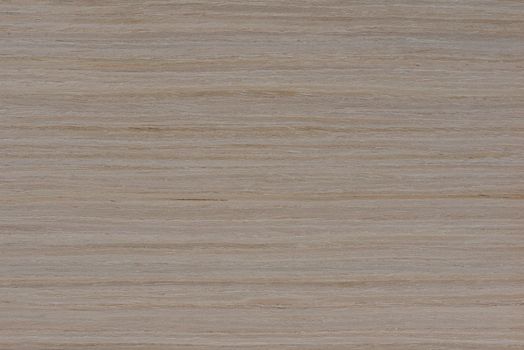 Texture of oak. Texture of natural solid wood. Oak board with a white tint, bleached wood for the production of furniture, floors or doors