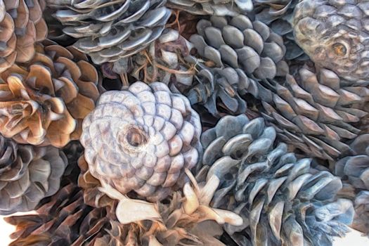 close up decorative dry pine cones