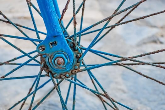 blue colored decorative old bicycle in the garden