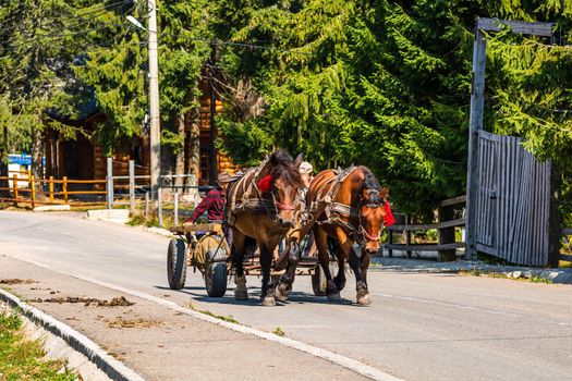 Horse carriage on mountain road in Bihor, Romania, 2021