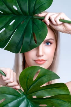 Closeup facial portrait personable woman with perfect smooth makeup holding green monstera leaves and cover her face as natural healthy skincare treatment. Tropical nature and beauty concept