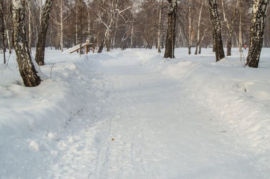 Winter alley in the Park, with trees on the side and snow drifts.