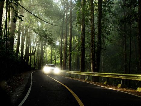 Mercedes on a beautiful road. bali