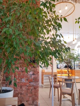 A plant against a brick wall, a design element in the modern interior of an empty cafe in vintage style, with wooden tables. Vertical photo.