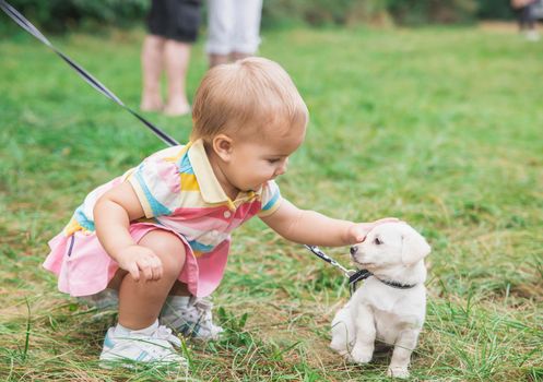 beautiful baby in a skirt petting a puppy.