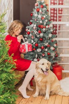 Teenage girl opens a gift near the new year tree and her dogs.