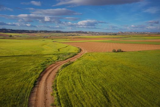 Aerial view of landfields. top view from drone of highway searching paths and lines.