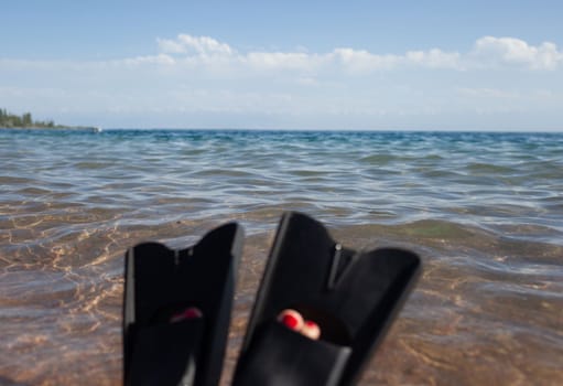 A woman in black flippers splashes near the shore. Fins stick out of the water. Swimming equipment. Summer holidays, fun, exploring the sea world concept. Space for copy.