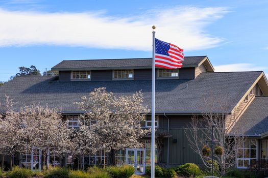 American flag flies in front of cherry blossoms and local government building. High quality photo