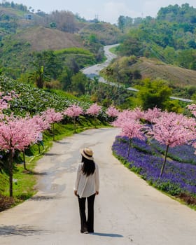 Asian Thai women visit a Garden with flowers in the mountains of Phetchabun Kha Kho Thailand on a sunny day