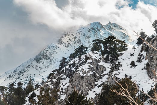 Forested snowy mountain landscape in the foothills on a sunny day