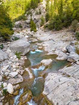 Depleted riverbed flowing through the forest in a mountainous area