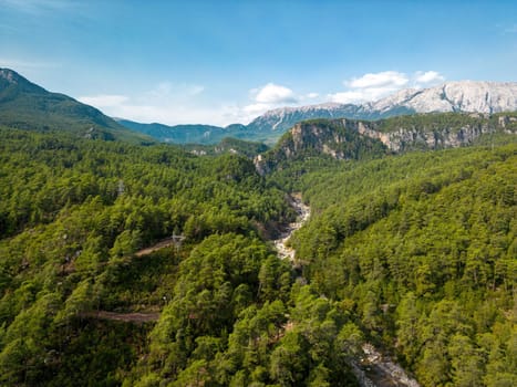 Dried riverbed running through the forest in a mountainous area