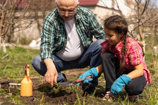 gardening, grandfather and granddaughter in the garden.