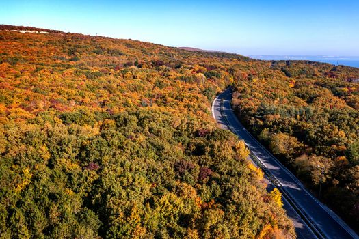 Aerial view from a drone over road between autumn trees in the forest.