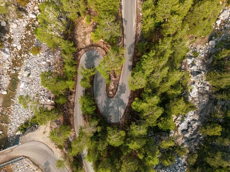 Top down view of road through forest at sunrise