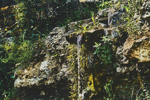 Water source flowing from the depths of the earth, the key. Mountain fresh cool stream spring among rocks and green thickets in sunny day.