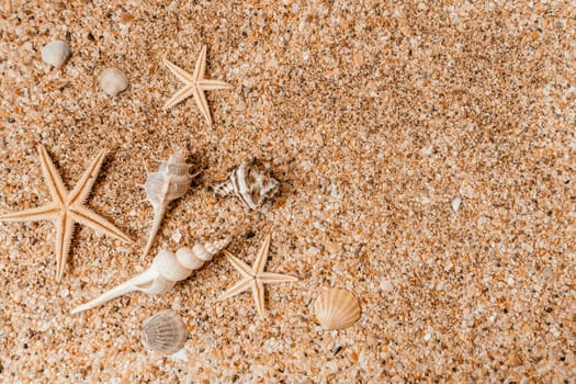 Sand shells background. Summer time concept with sea shells and starfish on the sand.