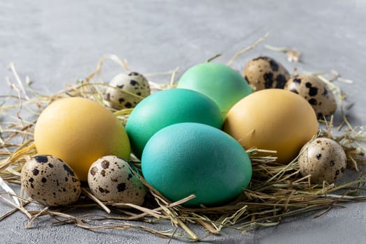 Easter composition of a stylized bird's nest with quail and dyed yellow and turquoise chicken eggs. Selective focus.
